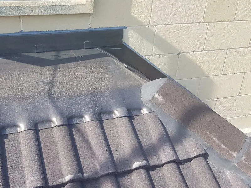 Daniel Towner Roof 2